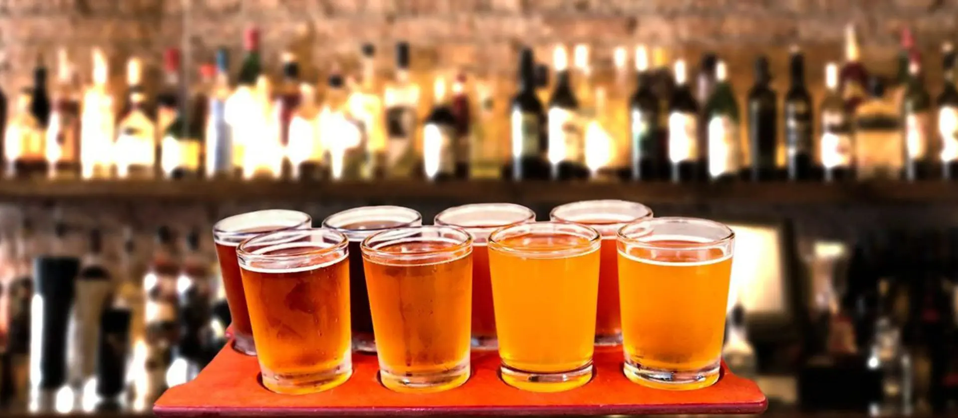 A row of glasses filled with different beers.